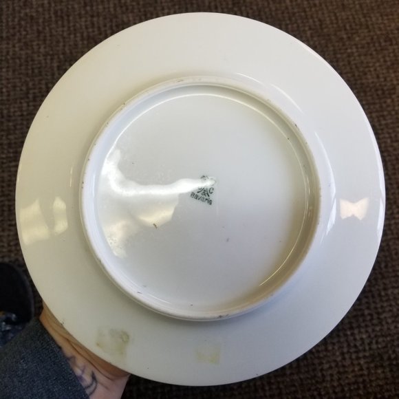 Vintage J&C Bavaria Small Hand-Painted Plate Signed A. Koch Artist Grapes Fruit - Picture 5 of 7